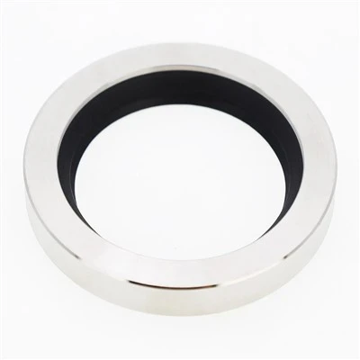PTFE-Lippenöldichtung